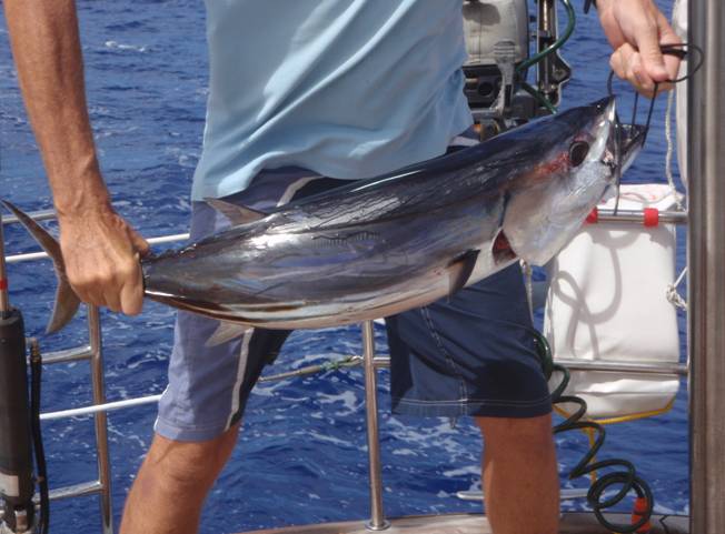 2014-11-16 Fiji naar Nieuw Caledonië 004.JPG