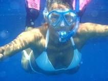 m_2010-02-17 BVI's 009.jpg