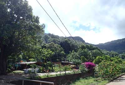 image2.jpeg