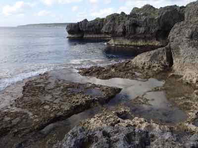 image1.jpeg