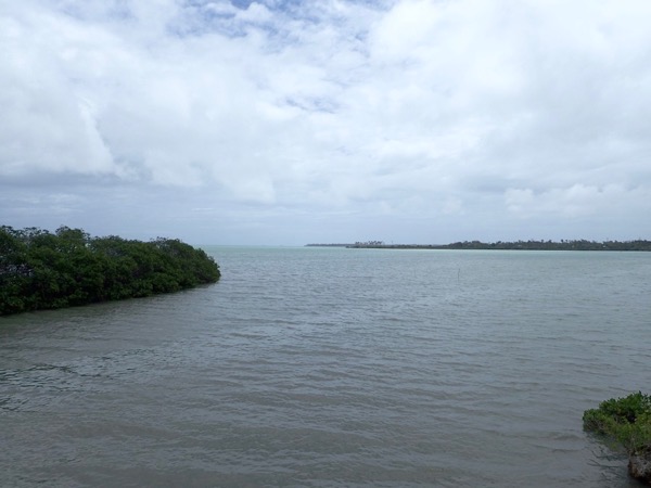 image1.jpeg