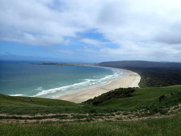 image11.jpeg