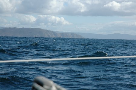 JPEG image