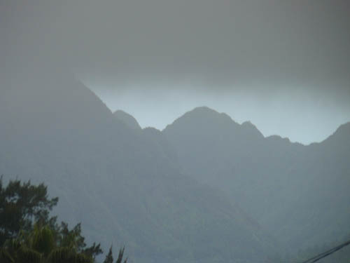 JPEG image