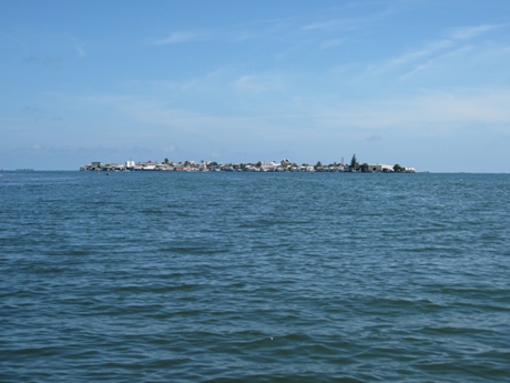 m_IMG_1762.jpg
