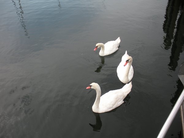 m_DSCN0194.jpg