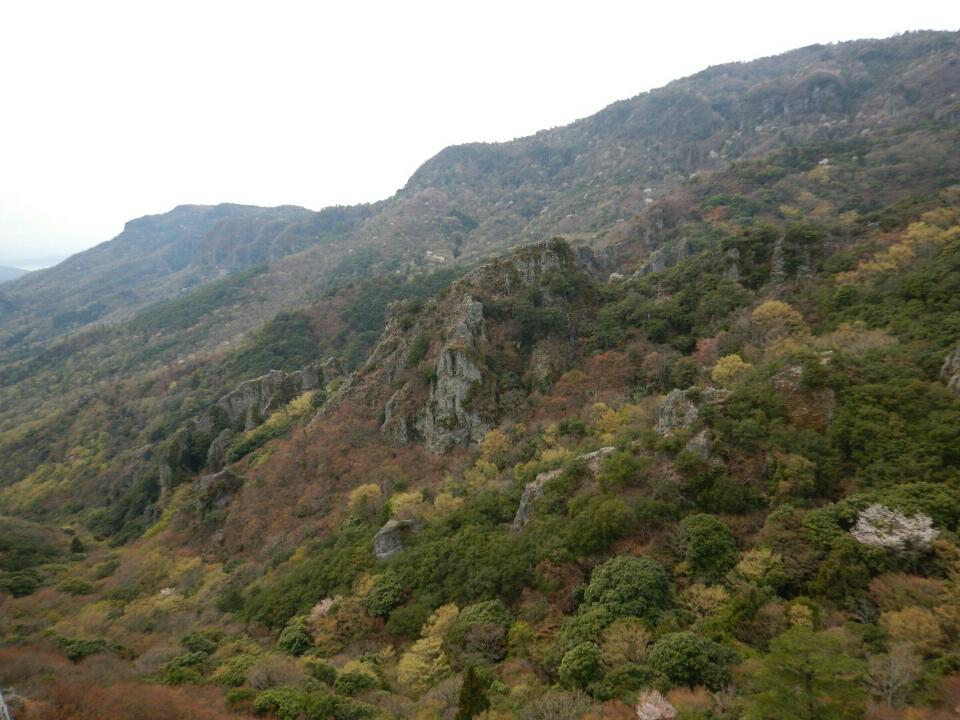 JPEG image