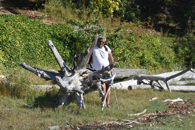 JPEG image