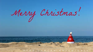 Bildresultat för merry christmas images with palm trees
