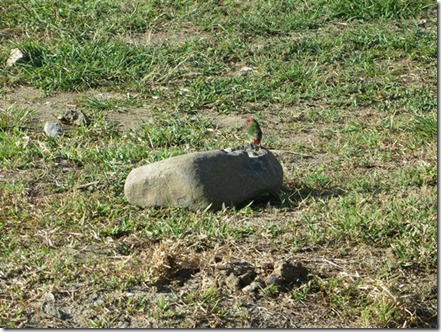 IMG_3526 IMG_3526