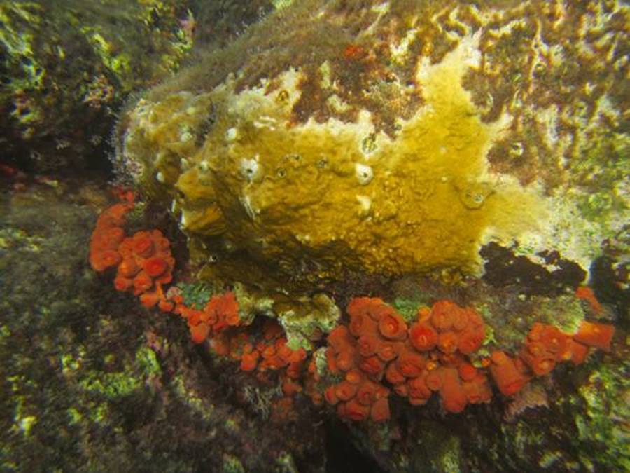 m_IMG_3261