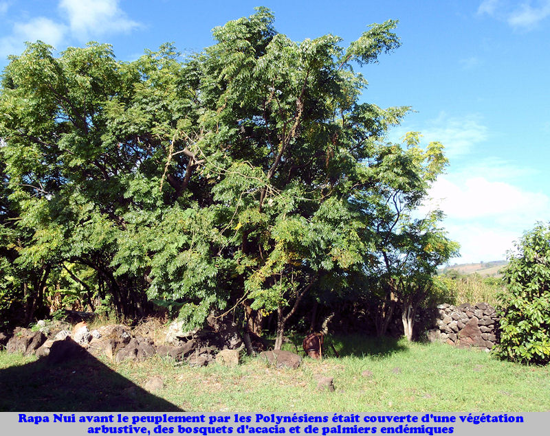 JPEG image