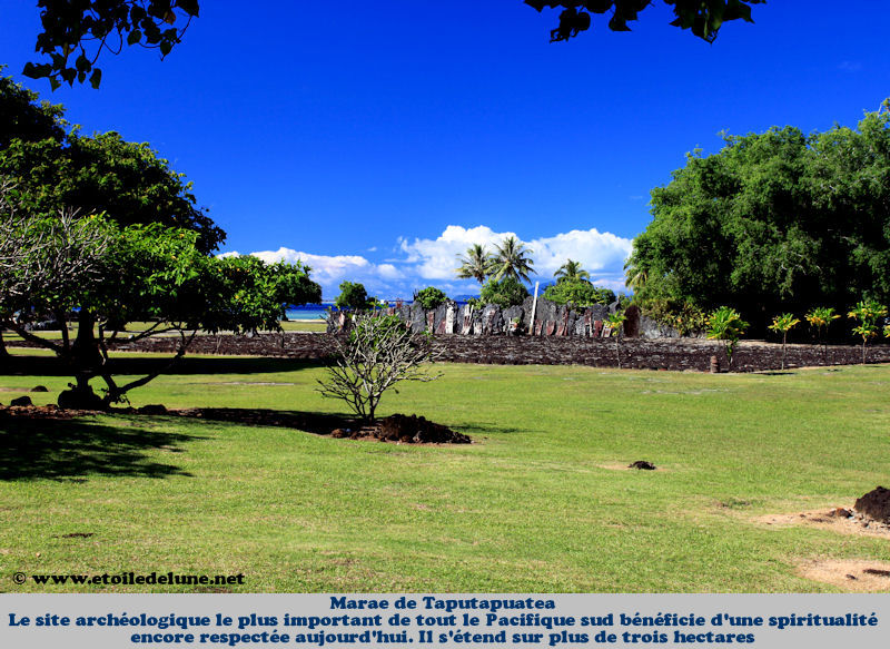 JPEG image