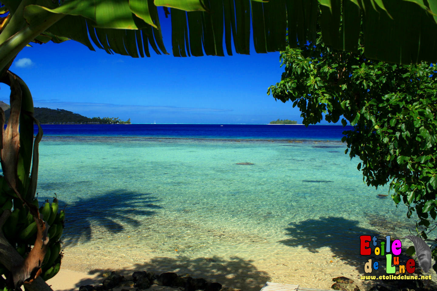 Scenery Wallpaper Fond D'écran Gratuit Iles Fidji