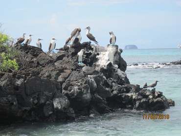 m_IMG_5524.jpg