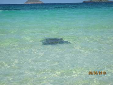 m_IMG_5726.jpg