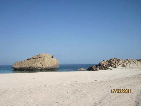 m_IMG_1472.jpg