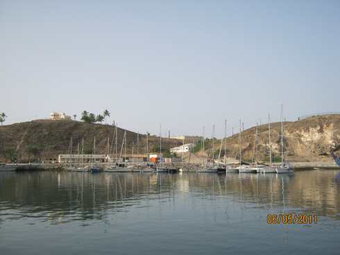 m_IMG_0184.jpg