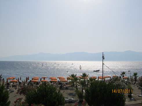 m_IMG_1279.jpg