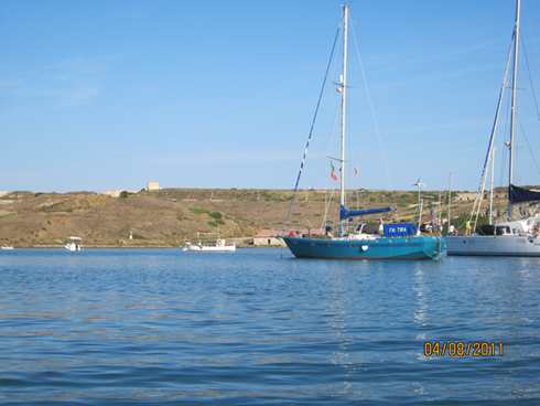 m_IMG_1705.jpg