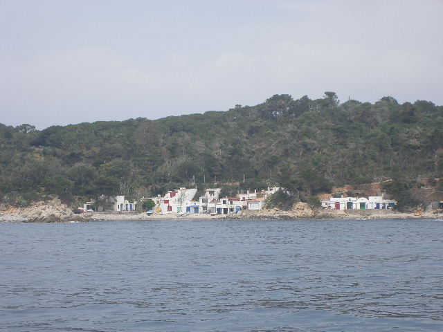 JPEG image