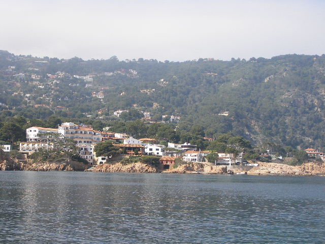 JPEG image