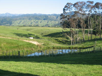 New Zealand landscape, Levin, North Island