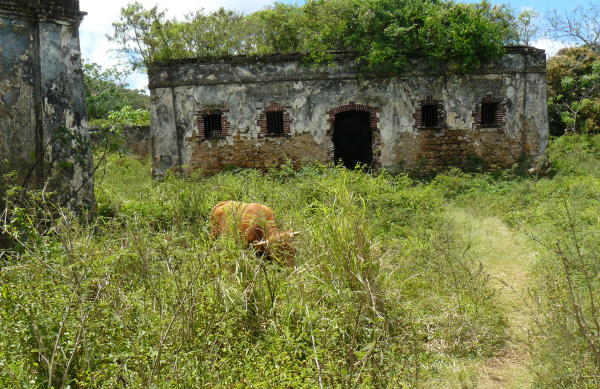 The jail. What remains of the jail from the 1800s.