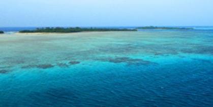 Reef colours.jpg