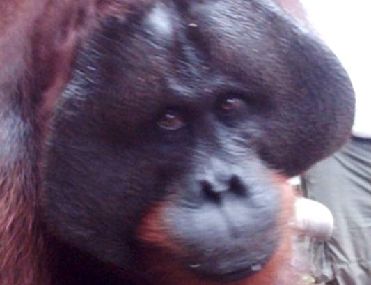 DSC07191 I'm looking at you.JPG