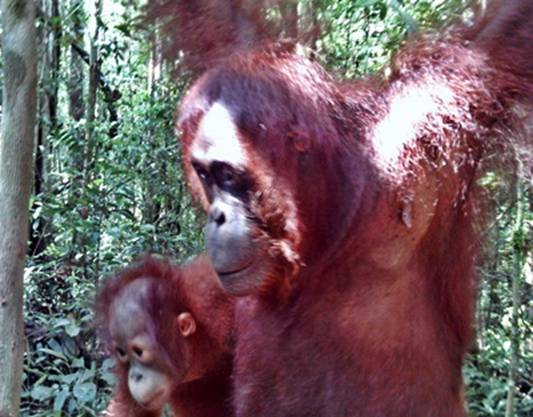 PICT0485.JPG