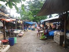 P1010481.jpg