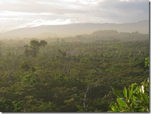 m_Samoa 478 m_Samoa 478