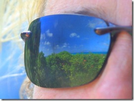 IMG_6822 IMG_6822