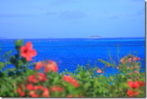 IMG_6824 IMG_6824