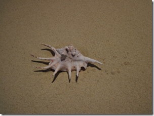 IMG_6320 IMG_6320