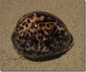 IMG_6319 IMG_6319