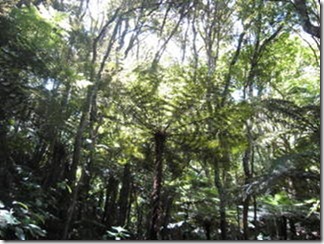 IMG_1040 IMG_1040