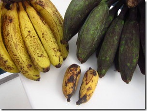 IMG_2435 IMG_2435