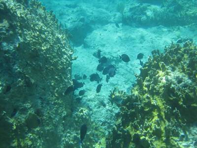IMG_0400.JPG