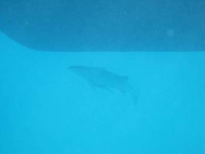 IMG_0356.JPG