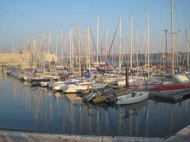 IMG_2654.jpg