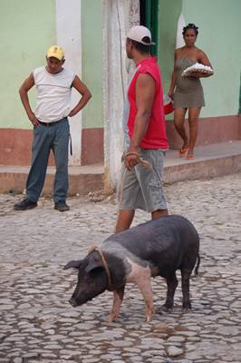 m_DSC_7119.jpg