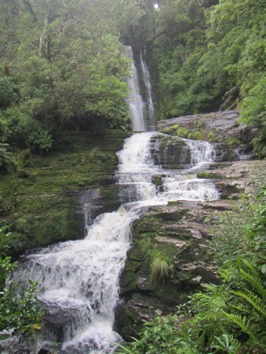 JPEG image