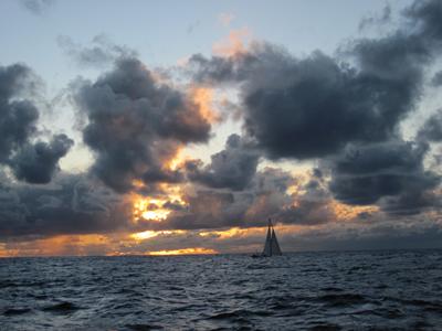 m_IMG_8364.jpg