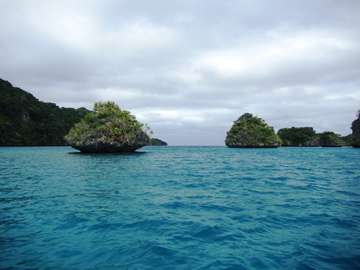 m_IMG_5632.jpg