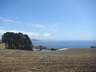m_IMG_8813.jpg