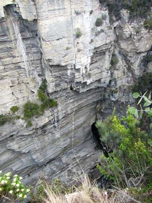 m_IMG_9073.jpg