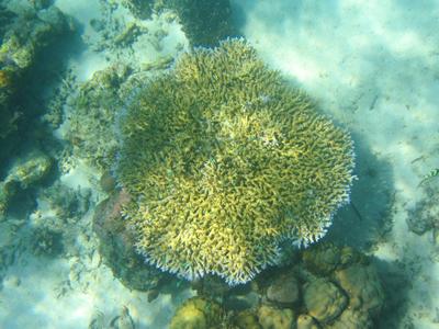 m_IMG_3775 (2).jpg