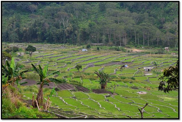 Description: C:\Users\Cheryl\Desktop\Indonesia\Flores Island\Three Lakes & Market\DSC_0077.JPG